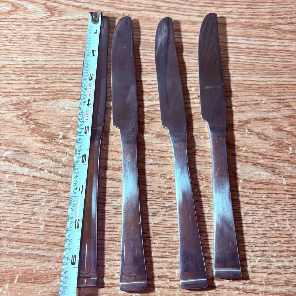 Pfaltzgraff Everyday Stainless Steel Set of 4 Dinner Knives